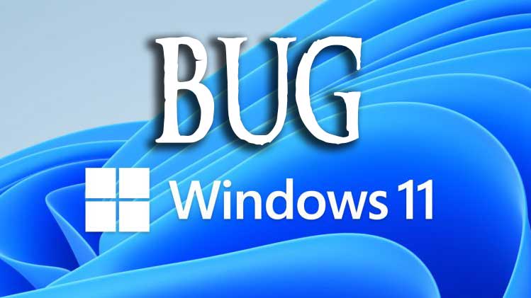 Windows 11
