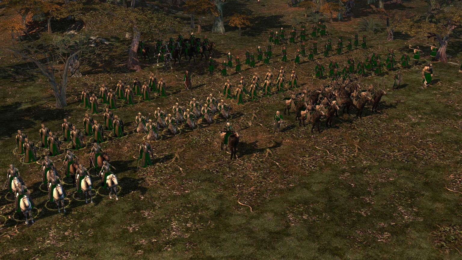 Couleur Age Of The Ring