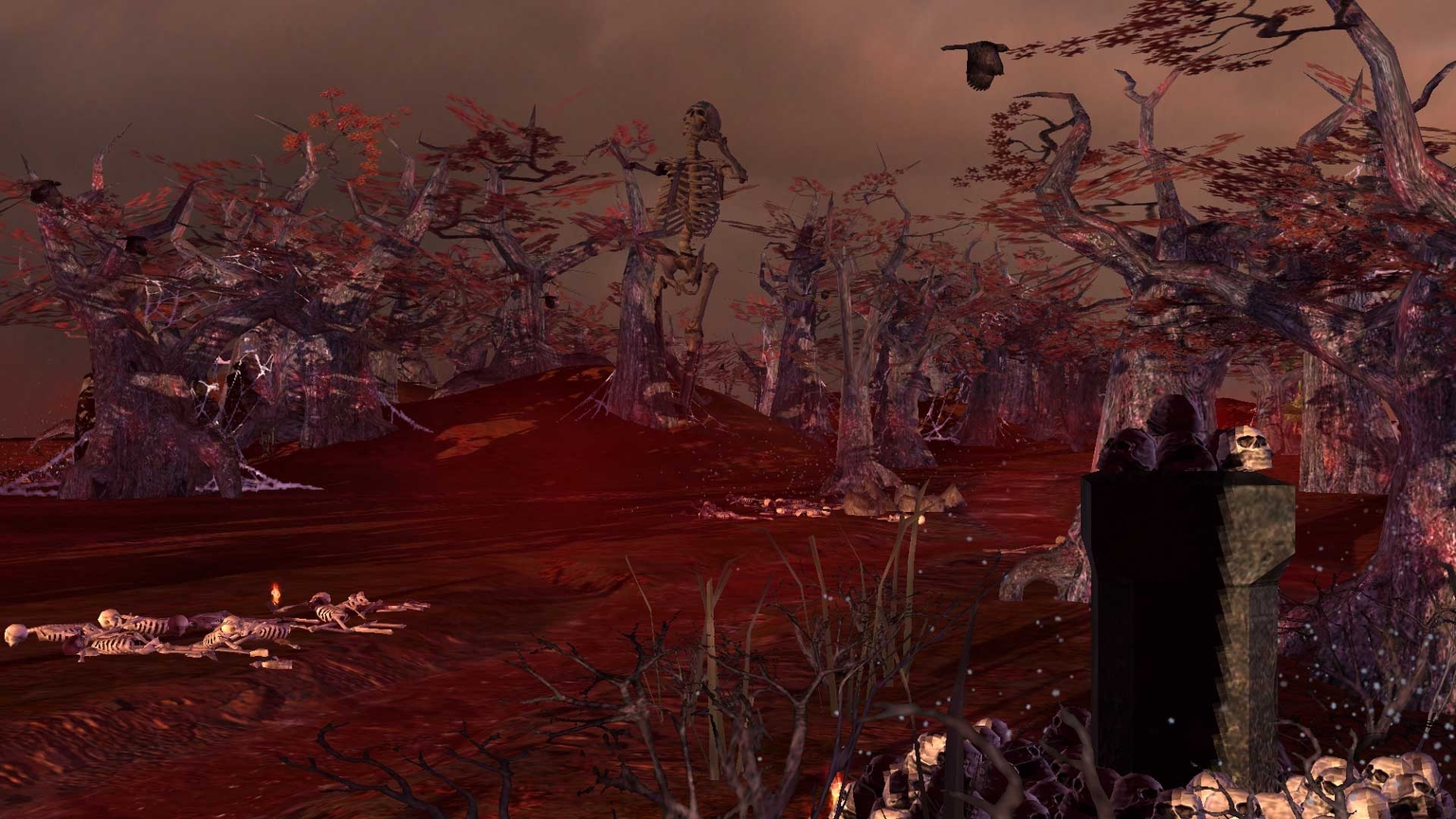 Bloodwood