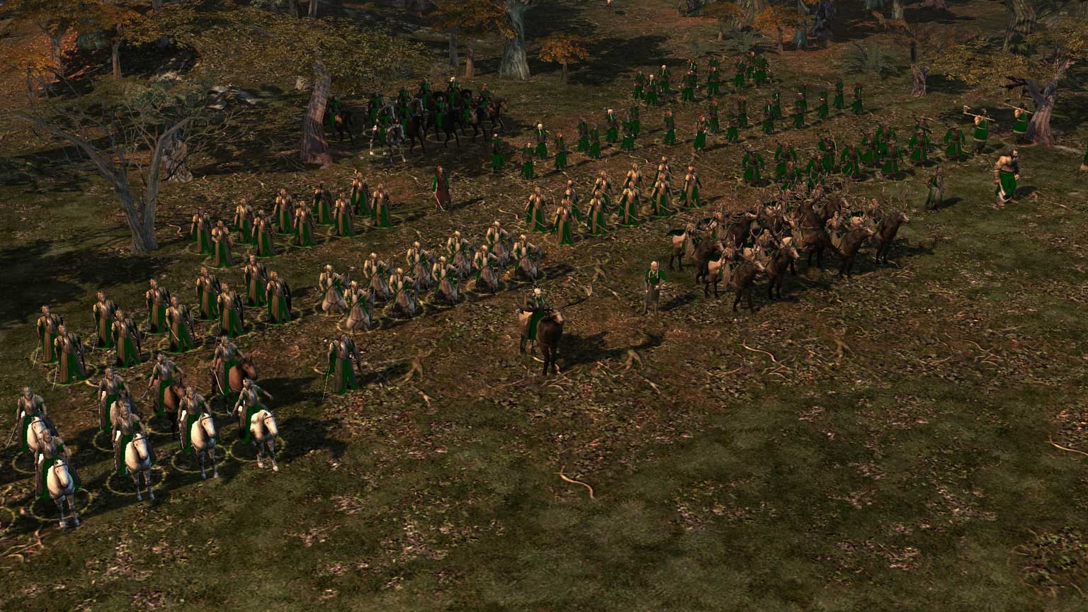 Couleur Age Of The Ring
