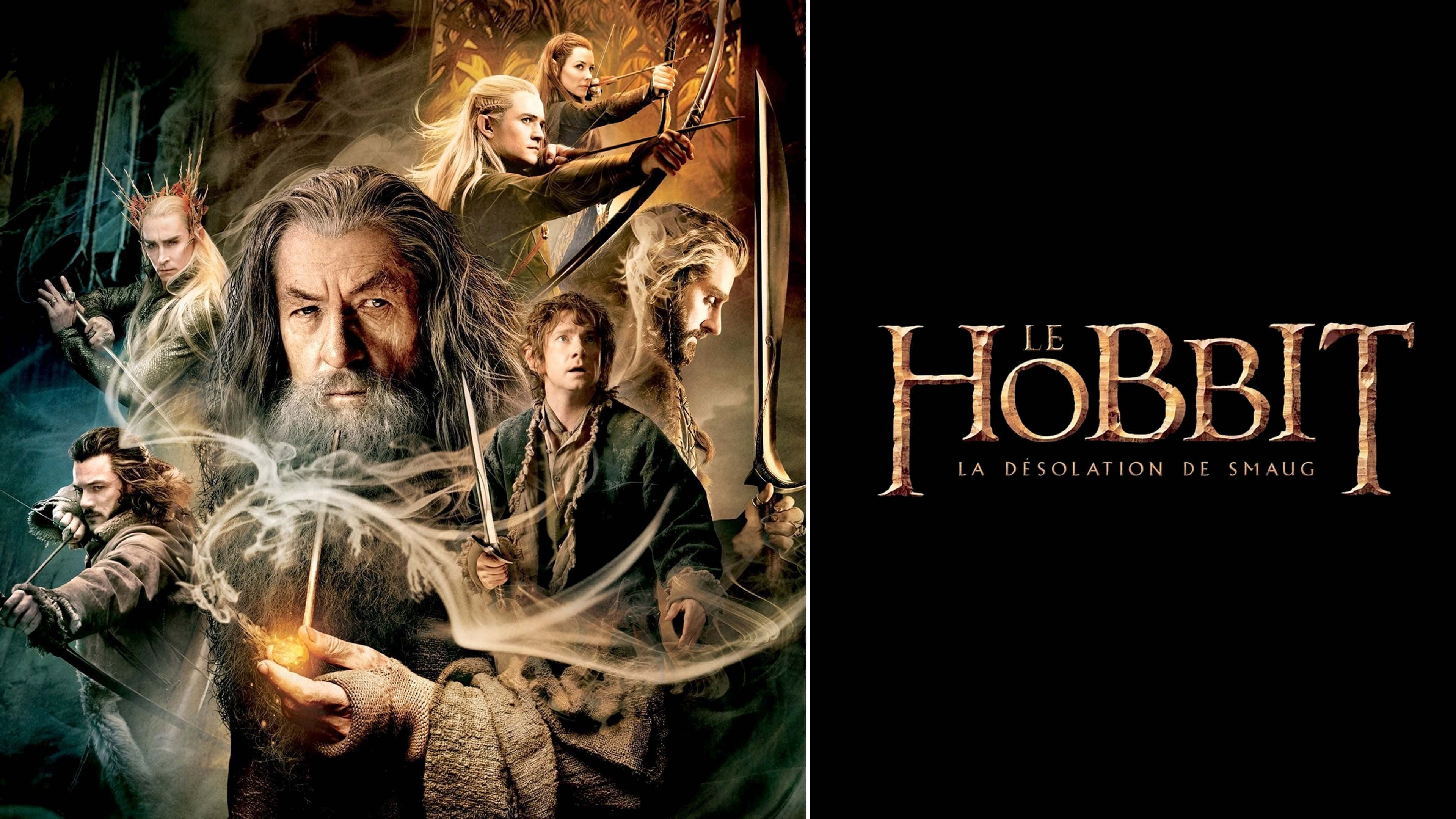 Le Hobbit : La Désolation de Smaug